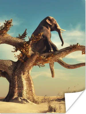 Produktbild von MuchoWow® Poster Elefant - Baum - Natur - Wüste 120x160 cm - Wandbilder