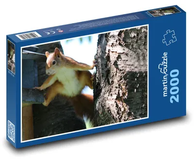 Obrázek produktu pro Puzzle 2000 Veverka na Stromě - martinpuzzle