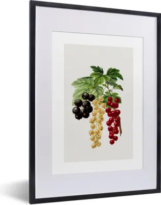 Produktbild von MuchoWow® Gerahmtes Poster Beeren - Obst - Gesund 30x40 cm - Poster mit Schwarzem Bilderrahmen Wandposter Rahmen Foto Bilder - Wandposter Schlafzimmer