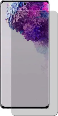 A screen protector for a smartphone is shown.