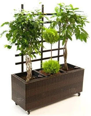 Produktbild von Elegant Einrichten | Pflanzkübel | Polyrattan | mit Rankgitter | rechteckig | 82x30x100cm | mocca.