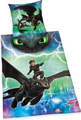 Produktbild von Herding DREAMWORKS DRAGONS Bettwäsche-Set, Wendemotiv, Bettbezug 140 x 200 cm, Kopfkissenbezug 70 90 Baumwolle/Renforcé