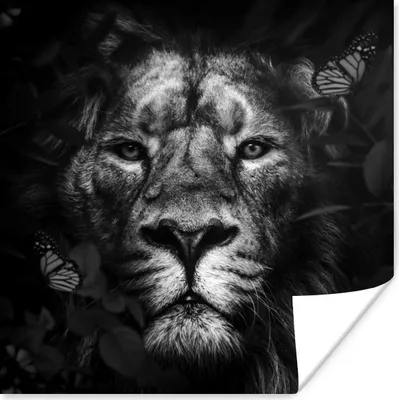 Produktbild von MuchoWow® Poster Schmetterling - Löwe - Pflanzen - Schwarz - Weiß 75x75 cm - Wand Dekoration