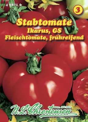 Produktbild von Fleischtomate Ikarus | Fleischtomatensamen von N.L. Chrestensen
