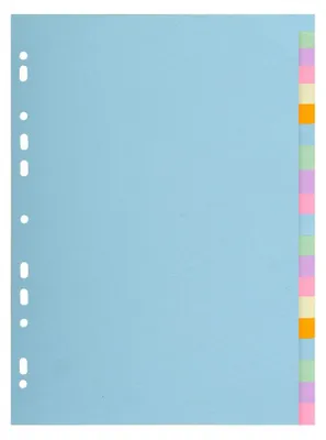 Immagine prodotto di Registro 20 fogli A4 in carta manila da 160 g
