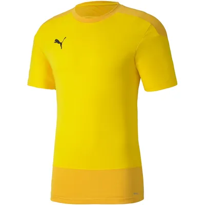 Image de Puma teamGOAL 23 Maillot d'entraînement