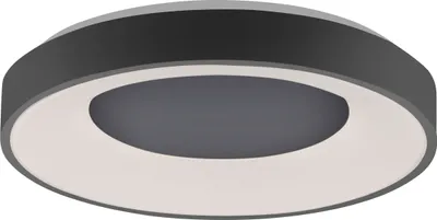 A modern, circular LED ceiling light with a dark gray outer rim and a white inner ring.