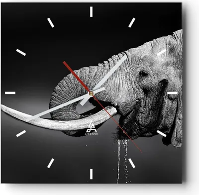 Produktbild von Wanduhr - Quadrat - Glasuhr - Elefant Stoßzahn Natur - 40x40cm - Schleichendes Uhrwerk - Lautlos - zum Aufhängen bereit - Dekoration Modern - Wanddekoration aus Glas - C3AC40x40-3443