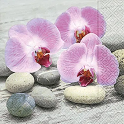 Produktbild von 20 COCKTAIL SERVIETTEN 25x25cm Orchideen, Steine. ORCHIDS ON STONES