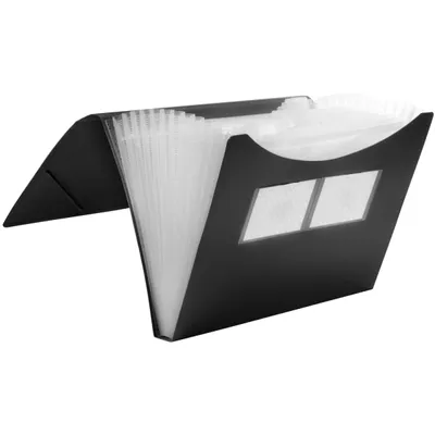 Obrázek produktu pro FolderSys Fächermappe 12 Fächer schwarz