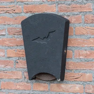 Produktbild von Fledermauskasten „Beaumaris“ Maxi