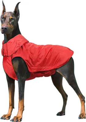 Produktbild von Regenmantel Hunderegenmäntel, wasserdichte Jacke für Haustiere Hunde Winter Warme Regenkleidung