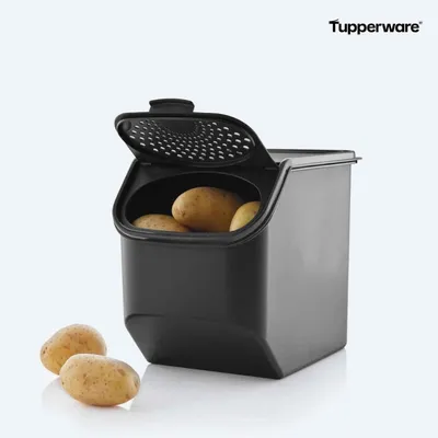 Produktbild von Tupperware Kartoffellager Vorratsbehälter 5,5 l lichtundurchlässig mit Belüftung Keimungsreduktion