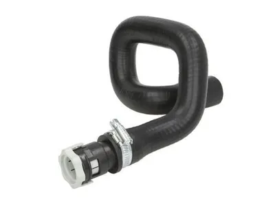 Produktbild von THERMOTEC DCG107TT Ansaugschlauch Luftfilter für FORD Focus II Schrägheck (DA, HCP, DP)