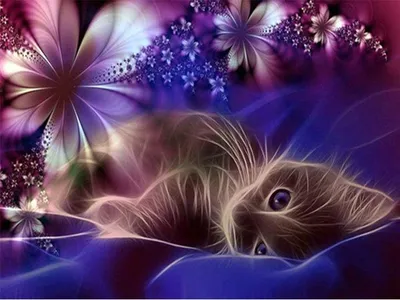Produktbild von 5D Diamond Painting Set DIY 5D Diamant Painting Full Kits Handwerk Wie Stickerei Kreuzstich FüR Haus, Wand Und Eingang Dekorationen Sein (Moon cat)