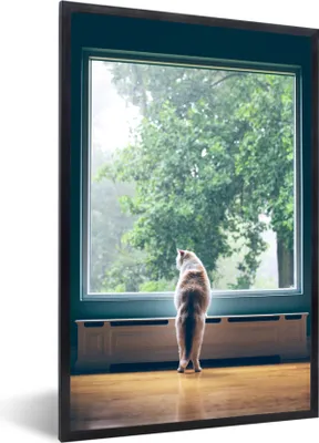 Produktbild von MuchoWow® MuchoWow® Gerahmtes Poster Katze - Fenster - Pflanzen 40x60 cm - Poster mit zchwarzem Bilderrahmen - Papierdruck - Wandbilder