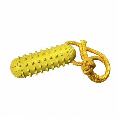 Produktbild von Quietschendes Hundespielzeug, 18x6x6cm