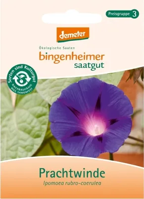 Immagine prodotto di Convolvolo nero - Ipomoea rubro-coerulea