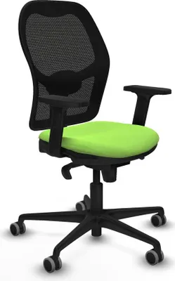 Image de Gaming-Stuhl Piqueras y Crespo 2D036G0 Pistazienfarben