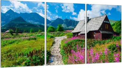 Produktbild von Glasschutzplatte für Herd 3x30x52