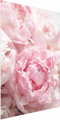 Produktbild von Posterpapier Poster - Morning Nostalgia 21x30 cm Blumen b-B-0384-ao-a