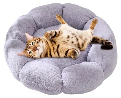 Image de Maison pour chats en peluche douce