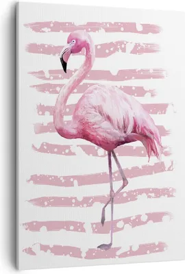 Produktbild von Bild auf Leinwand - Leinwandbild - Einteilig - Flamingo Vogel Wasser - 50x70cm - Wand Bild - Wanddeko - Wandbilder - Leinwanddruck - Wanddekoration - Leinwand bilder - Wandbild - PA50x70-3938
