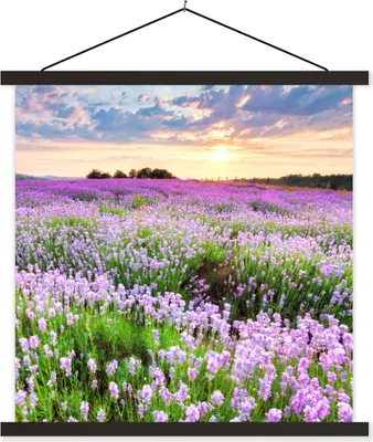 Produktbild von MuchoWow® Textilposter Lavendel - Blumen - Sonnenuntergang - Lila - Wiese 60x60 cm mit schwarzem Rahmen - Posteraufhänger