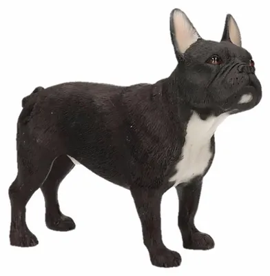 Produktbild von Figurine Franzosische Bulldogge Hund - 12 cm - polystone - Hundestatue