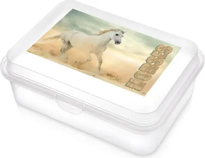 Produktbild von Transparente Pferde-Lunchbox 750 ml