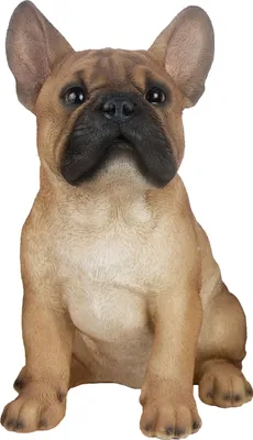 Produktbild von Französische Bulldogge in BRAUN mit süßen Akzenten. Charmant & lebensecht