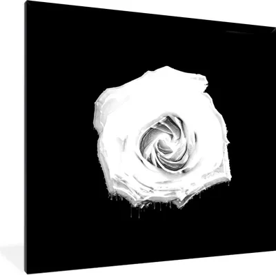 Produktbild von MuchoWow® Gerahmtes Poster Blumen - Licht - Schwarz - Weiß 40x40 cm - Poster mit Schwarzem Bilderrahmen Wandposter Rahmen Foto Bilder - Mit Rahmen - Wanddekoration Schlafzimmer