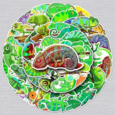 Image de Lot de 50 autocollants "chameleon", imperméables, pour voiture, ordinateur portable, skateboard, vélo, moto