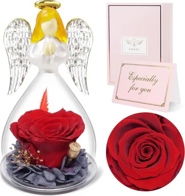 Obrázok produktu pre Sunia Eternal Rose Angel v sklenenej kupole, darček pre ženy, Vianoce a Valentín, červená