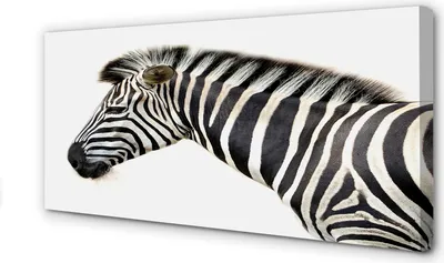Imagen del producto de Cuadro decorativo para pared, 100x50 cm, diseño de cebra