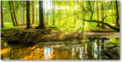 Produktbild von Tulup Glas-Bild -140x70- Wandkunst Dekorative Wand für Küche & Wohnzimmer - Landschaften - Wasserfall im Wald - Grün
