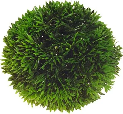 Obrázok produktu pre Hobby lopta na rastliny, 9 cm