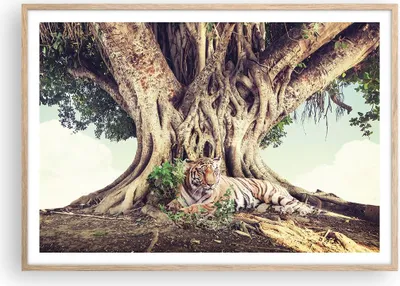 Produktbild von Gerahmtes Poster - Rahmen in heller Eiche - Tiger Wild Baum - 100x70 cm - Wand Bild - Wanddeko - Wandbilder - Kunstposter - Wandposter - Bilderrahmen - Bilder - Kunstdruck - P2NAA100x70-5124