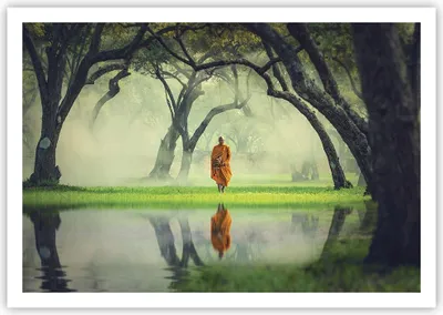 Produktbild von Poster - Poster ohne Rahmen - Mönch Wald Nebel - 100x70 cm - Wand Bild - Wanddeko - Wandbilder - Kunstposter - Wandposter - Bilder - Kunstdruck - Wanddekoration - Wandbild - P2XAA100x70-4286