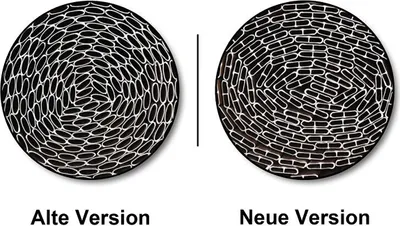 Produktbild von PVC Sichtschutzmatte mit Steg 160x600 cm