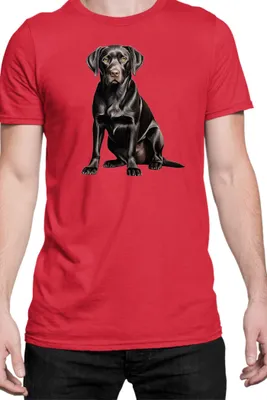 Zdjęcie produktu dla Męska Koszulka Dogs Breeds Labrador Retriever Dog Breed 006, Man L / Czerwony