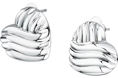 Image de Boucles d'oreilles en acier Battito SAZQ06