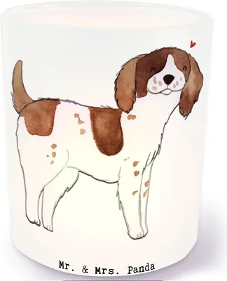 Produktbild von Mr. & Mrs. Panda Windlicht aus Glas English Springer Spaniel Lebensretter - Transparent - Geschenk, Deko, Teelichthalter, kerzenhalter, Kerzenglas