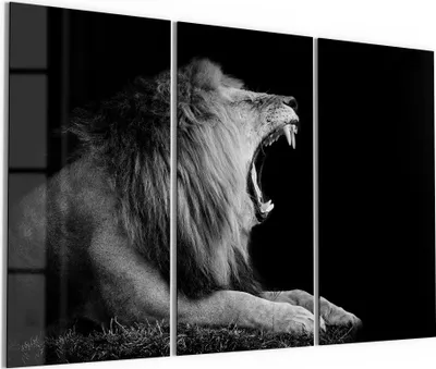Produktbild von DEQORI Glasbild Echtglas 3x50x100 cm 'Brüllender Löwe' Wandbilder XXL groß