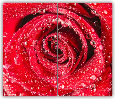 Produktbild von Tulup Glas-Herdabdeckplatte - 2x30x52cm - Glaskeramikkochfeld-Abdeckung Spritzschutz Zweiteilig Wassertropfen Rose