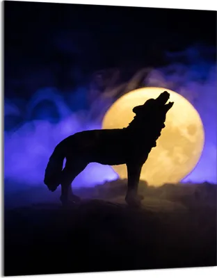 Obrázek produktu pro Kryt varné desky 40x52 Sklokeramický kryt varné desky Ochrana proti stříkající vodě Skleněná deska Dekorativní krájecí deska, Wolf Violet