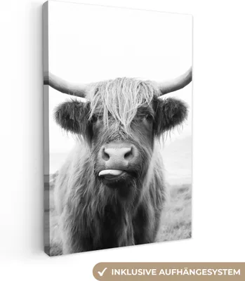 Obrázok produktu pre MuchoWow® - Plátno - Zvieratá - Škótsky horal - Krava - Čierna - Biela, fototapeta, nástenné dekorácie obrazy obývacia izba, 60x90cm