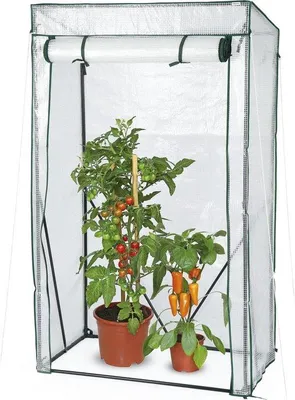 Zdjęcie produktu dla Mini-szklarni do uprawy pomidorów z siatki PE, 100 x 50 x 158/170 cm, przezroczyste