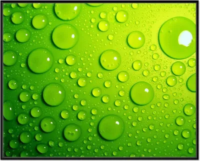 Produktbild von Wallario Wandbild Wassertropfen auf Grün, Größe: 40,30 x 50,30 cm, Poster mit schwarzem Aluminiumrahmen