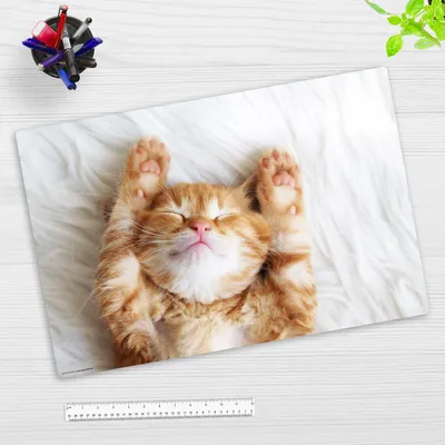 Produktbild von Schreibtischunterlage für Kinder und Erwachsene – “Süßes Katzenbaby beim Schlafen“ – aus erstklassigem strapazierfähigem Vinyl – 60 x 40 cm –  Germany